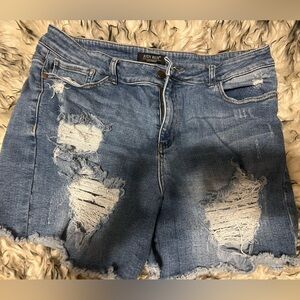 Judy Blue Shorts Size 2x